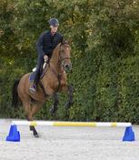 Waldhausen Cavaletti Block 3 Heights Blue