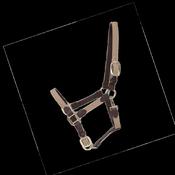 Kentucky Plaited Nylon Halter image