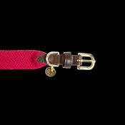Kentucky Dog Collar Jacquard image