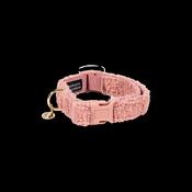 Kentucky Dog Collar Teddy Fleece image