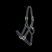 Kentucky Nylon Halter Breakaway image