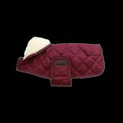 Kentucky Dog Coat Original image