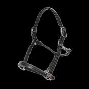 Kentucky US Halter image