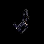 Kentucky Nylon Halter image