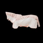 Kentucky Waterproof Combo Fly Rug Comfort image