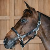Dy'on Plaited Halter image