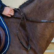 Dy'on 5/8" Web Reins With 9 Leather Loops image