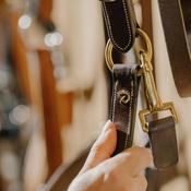 Dy'on Leather Halter image