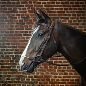 Dy'on Rope Drop Noseband Bridle DY image