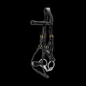 Kentucky Hybrid Noseband Bridle DY image
