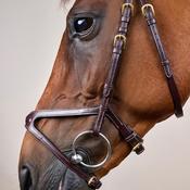 Dy'on X-Fit Bridle DY image
