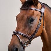 Dy'on Difference Bridle DY image