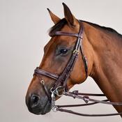 Dy'on Flash Noseband Double Bridle DY image