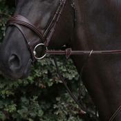 Dy'on 1/2" Rubber Reins image