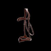 Dy'on D Motion Bridle NE image