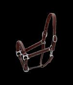 Dy'on Head Collar Fancy image
