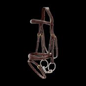 Dy'on Anatomic Flash Noseband Bridle DY image