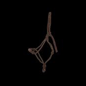 Dy'on Training Halter image