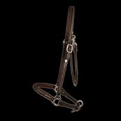 Dy'on Grooming Halter image