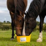 Equine Flexi Garlic Mineral Lick