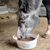 Equine Flexi Hoof &amp; Hide Mineral Lick