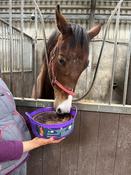 Equine Flexi Essential Mineral Lick