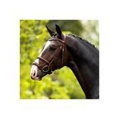 BR Bath Bridle With Double Noseband Oak/Silver image