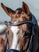 Equiline U Shaped Browband With Strass BB425 Black
