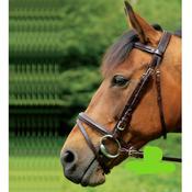 Celtic Equine Comfort Bridle With Grackle Noseband Black/Brass