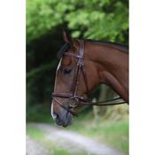 Celtic Equine Puissance Bridle Brown