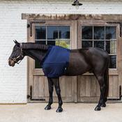 Kentucky Chest Protection Navy image