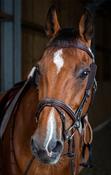 DY'ON Leather Blinkers Brown