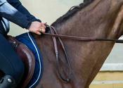 DY'ON 1/2 Rubber Reins New English Collection Brown image