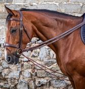 DY'ON Leather/Nylon Draw Reins 5/8" Brown D Collection