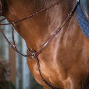 DY'ON Running Martingale Attachment New English Collection Brown