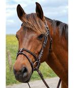 Privilege Equitation Flags &amp; Cups Calgary Elastic Noseband Bridle Brown image