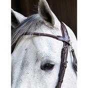 Equiline Rounded Browband Brown - BB0414