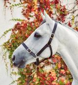 Equisential Leather Headcollar Brown