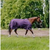 Equitheme Tyrex 0 g Standard Neck Turnout Rug Plum image
