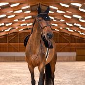 Samshield Flyshield Embroidery Fly Veil Black
