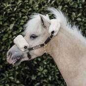 Kentucky Leather Halter Sheepskin Brown image