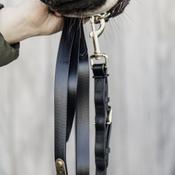 Kentucky Lead Black 2m image