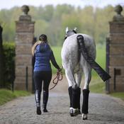 Kentucky Stable Bandage Pad Black