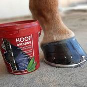 Kevin Bacon Hoof Dressing Original