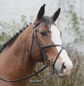 Mackey Classic Mexican Grackle Bridle Black image