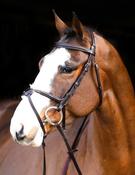 Mackey Classic Mexican Grackle Bridle Brown image