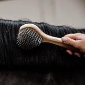 Kentucky Grooming Deluxe Mane &amp; Tail Brush Brown image