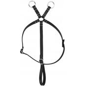 Pony Academy Mini Martingale