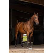 Norton Lunging Aid Navy