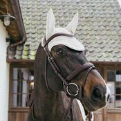 Kentucky Fly Veil Wellington With Plaited Cord Beige Full